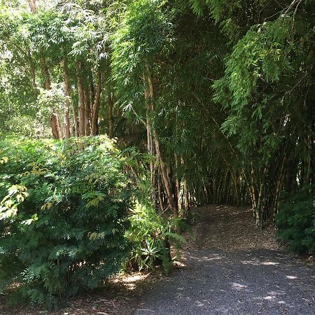 Kin Kin Cottage Retreat Ngoại thất bức ảnh