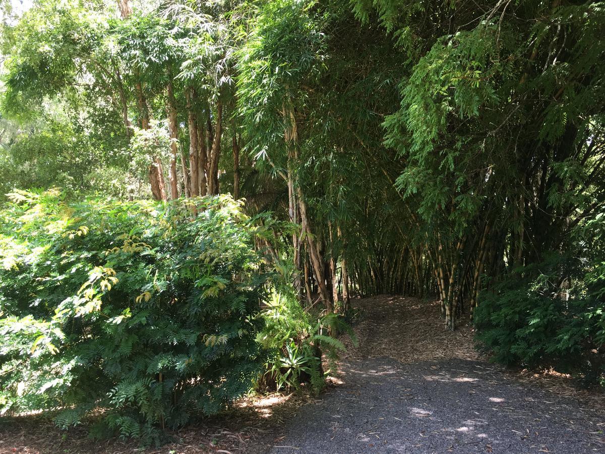Kin Kin Cottage Retreat Ngoại thất bức ảnh